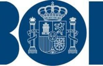 Consulta individualizada sobre las nuevas líneas de financiación del Ministerio