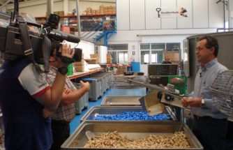 La empresa ibense Excellent Cork capta la atención de Canal Nou