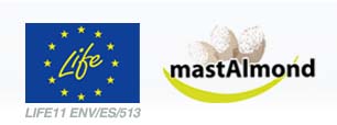 El proyecto Mastalmond continúa avanzando