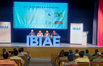 Asamblea General Ordinaria de IBIAE