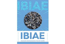 IBIAE  Magazine Nº 31