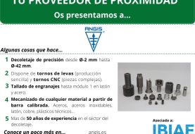 PROVEEDOR DE PROXIMIDAD: ANGIS