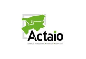 Comité ejecutivo de ACTAIO