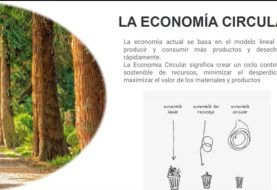 Presentación del curso cualificado en economía circular