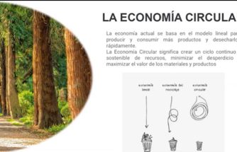 Presentación del curso cualificado en economía circular