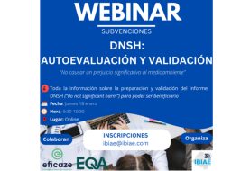 Webinar (subvenciones): DNSH, autoevaluación y validación