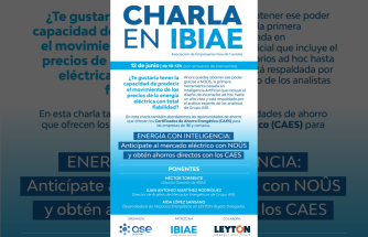 Jornada en IBIAE: Energía con inteligencia