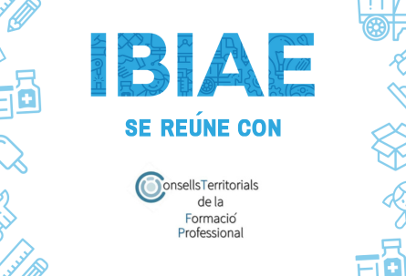 IBIAE se reúne con la comisión técnica del Consejo Territorial 14 de FP