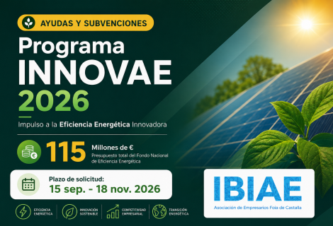 El IDAE lanza el Programa INNOVAE 2026, dotado con 115 millones de euros para impulsar la eficiencia energética innovadora en las empresas